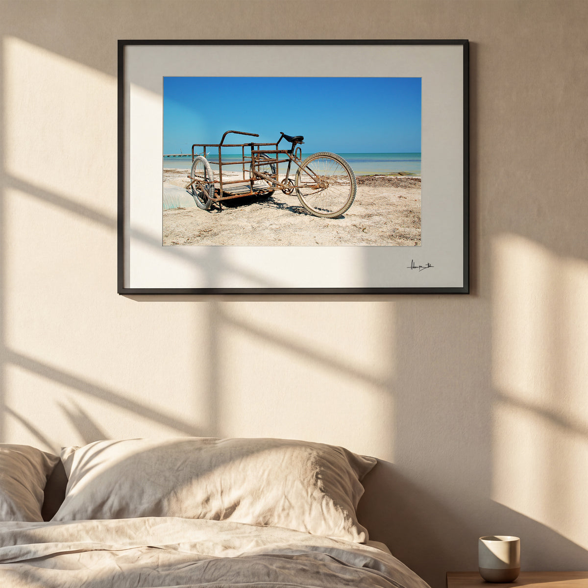 bike — XXL room