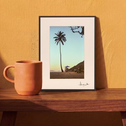 Rio de Janeiro Palm Tree Print | Brazil