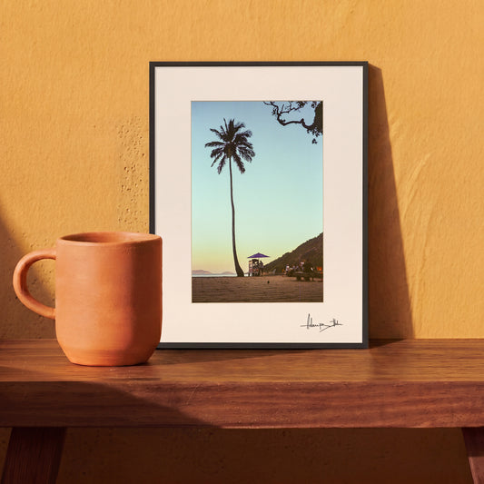 Rio de Janeiro Palm Tree Print | Brazil