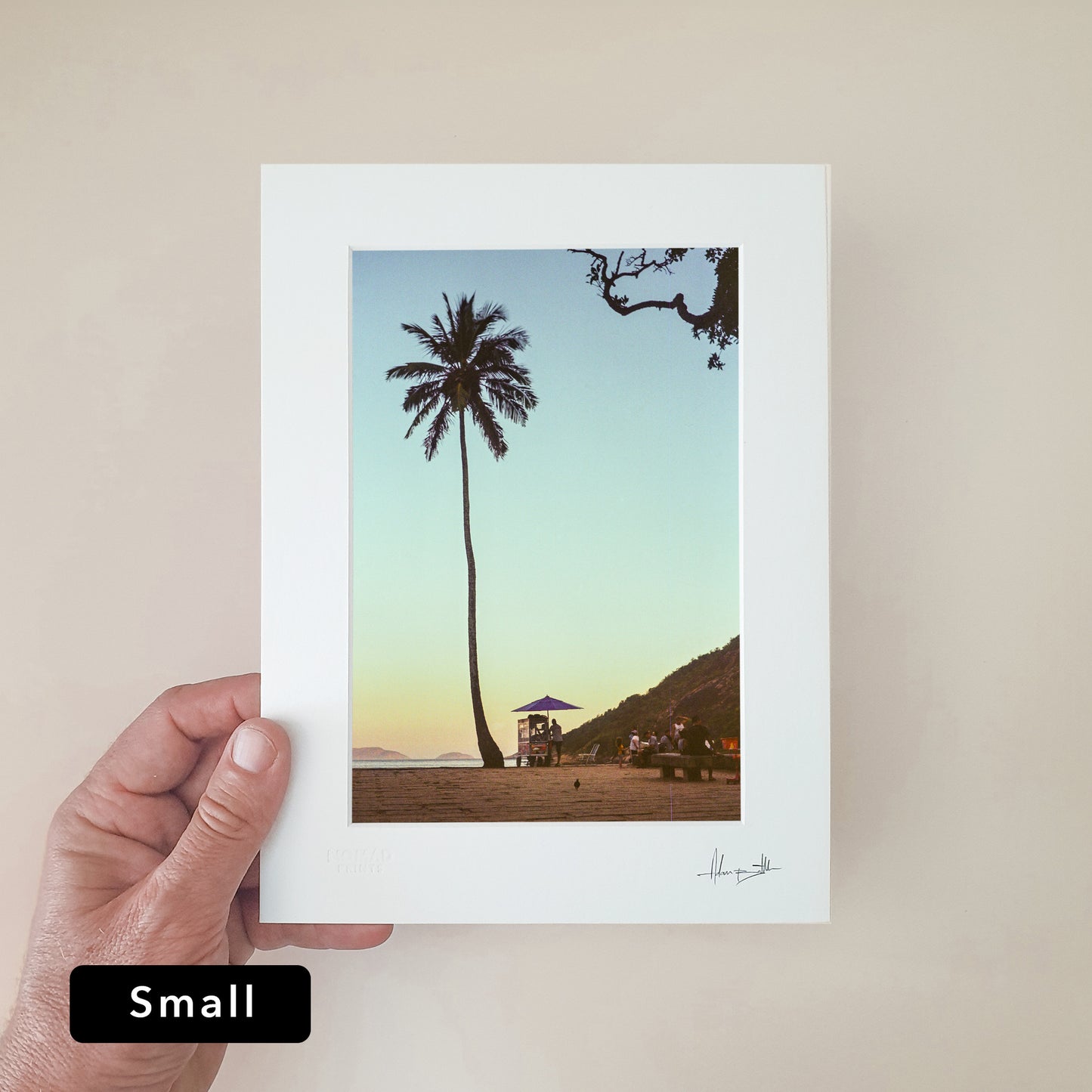 Rio de Janeiro Palm Tree Print | Brazil