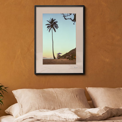 Rio de Janeiro Palm Tree Print | Brazil