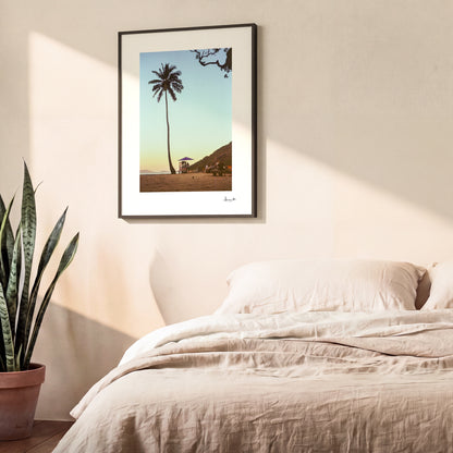 Palm Tree Beach Photography Print | Rio de Janeiro, Brazil