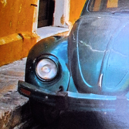 NP003-zoom.jpg