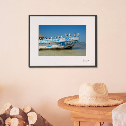Holbox Seagulls Print | Mexico