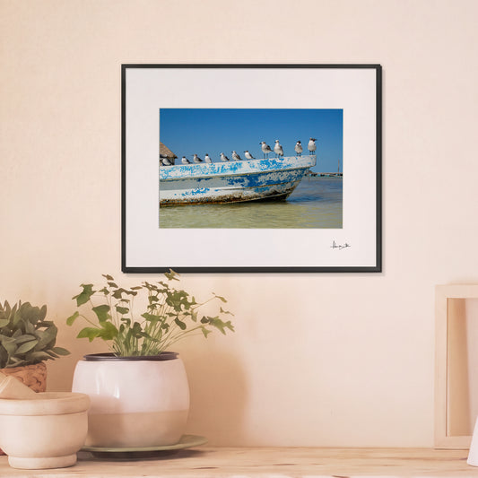 Holbox Seagulls Print | Mexico