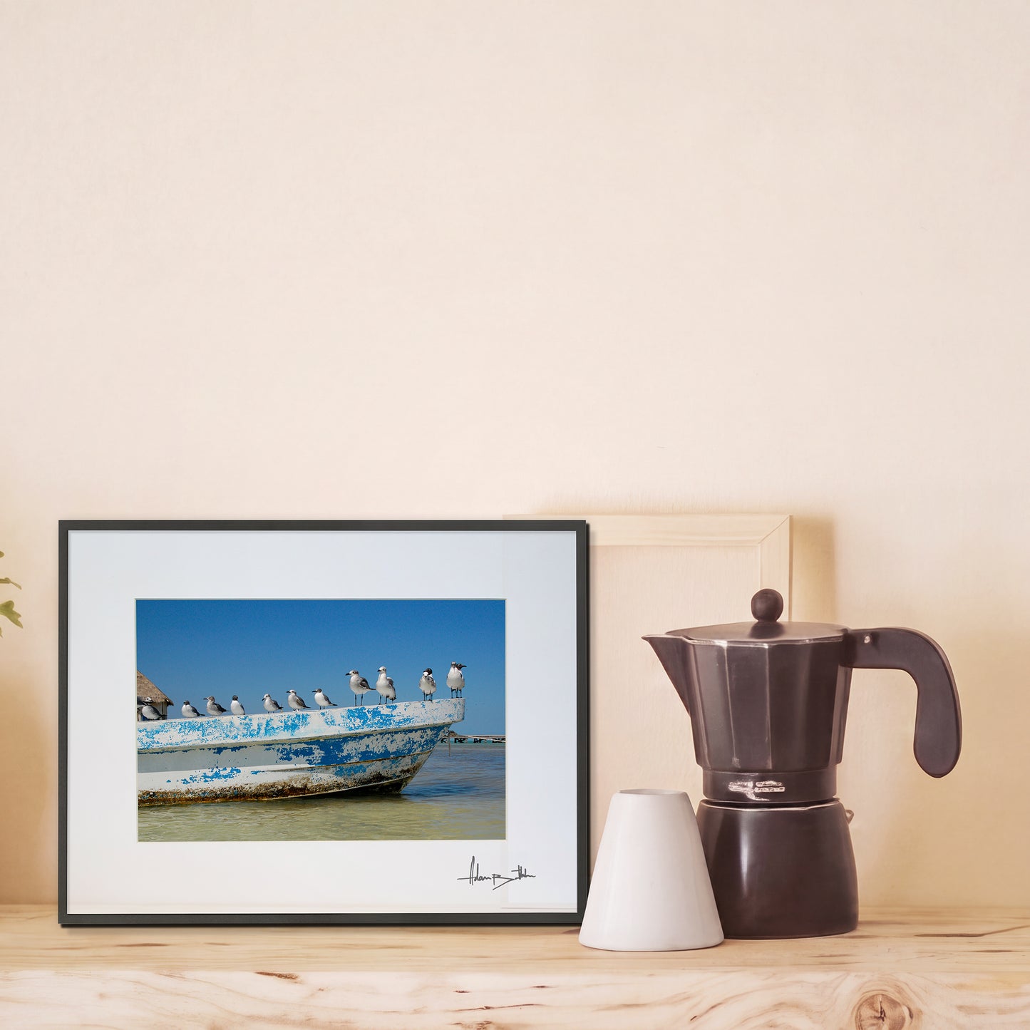 Holbox Seagulls Print | Mexico