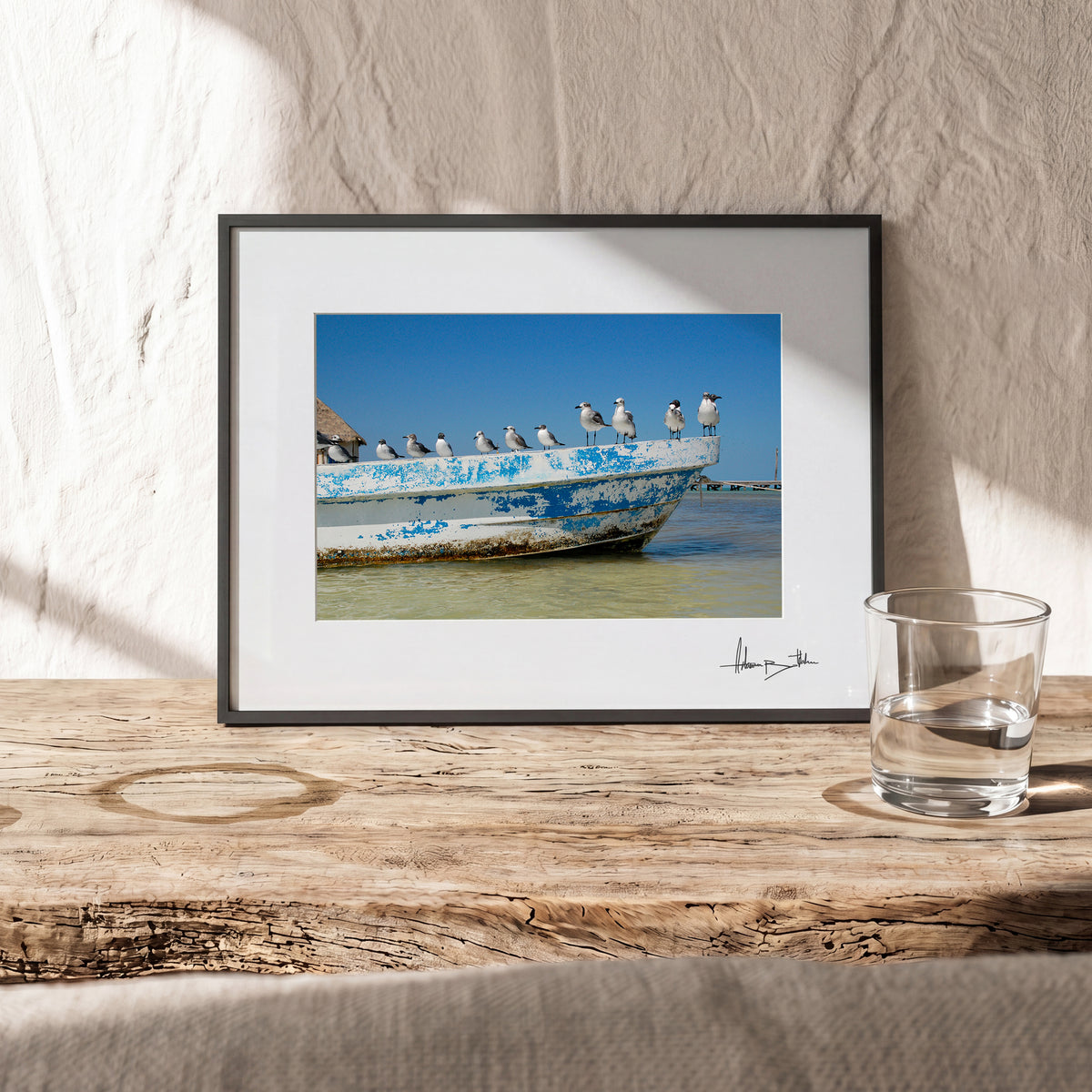 seagulls — Small room