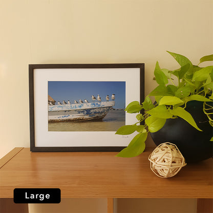 Holbox Seagulls Print | Mexico