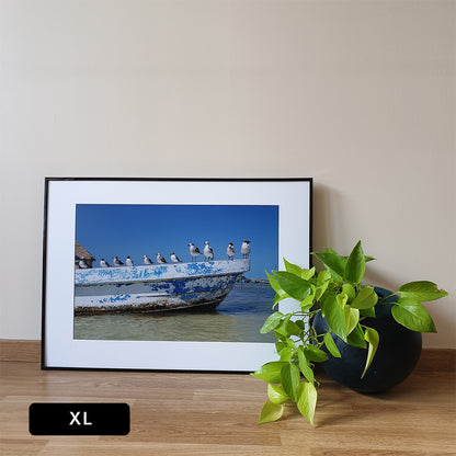 Holbox Seagulls Print | Mexico