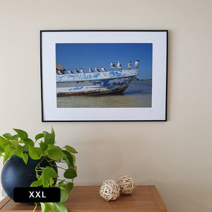 Holbox Seagulls Print | Mexico