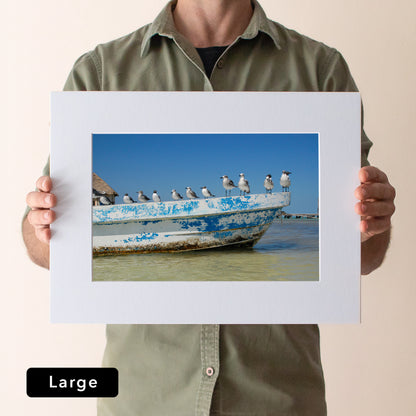 Holbox Seagulls Print | Mexico