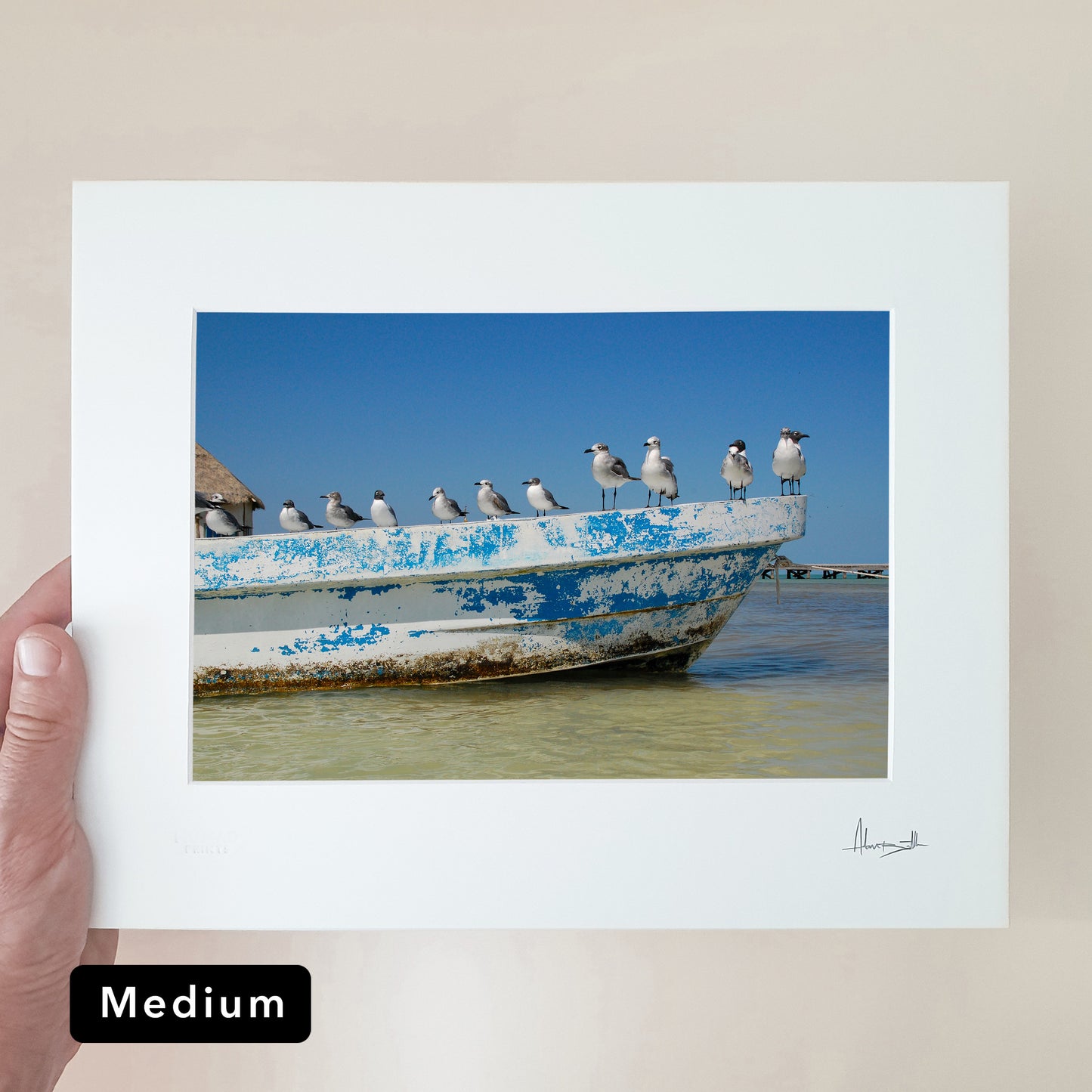 Holbox Seagulls Print | Mexico