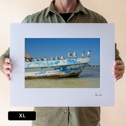 Holbox Seagulls Print | Mexico