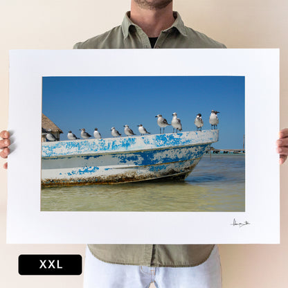 Holbox Seagulls Print | Mexico