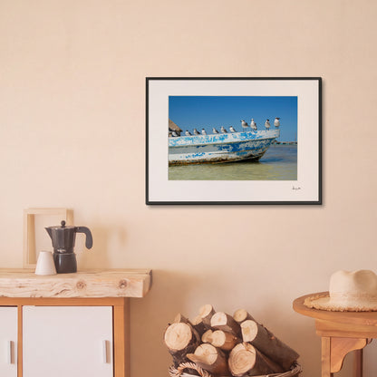 Holbox Seagulls Print | Mexico