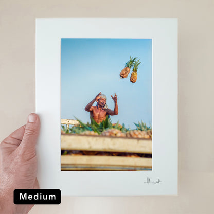 "Catch!" Pineapples Print | Brazil