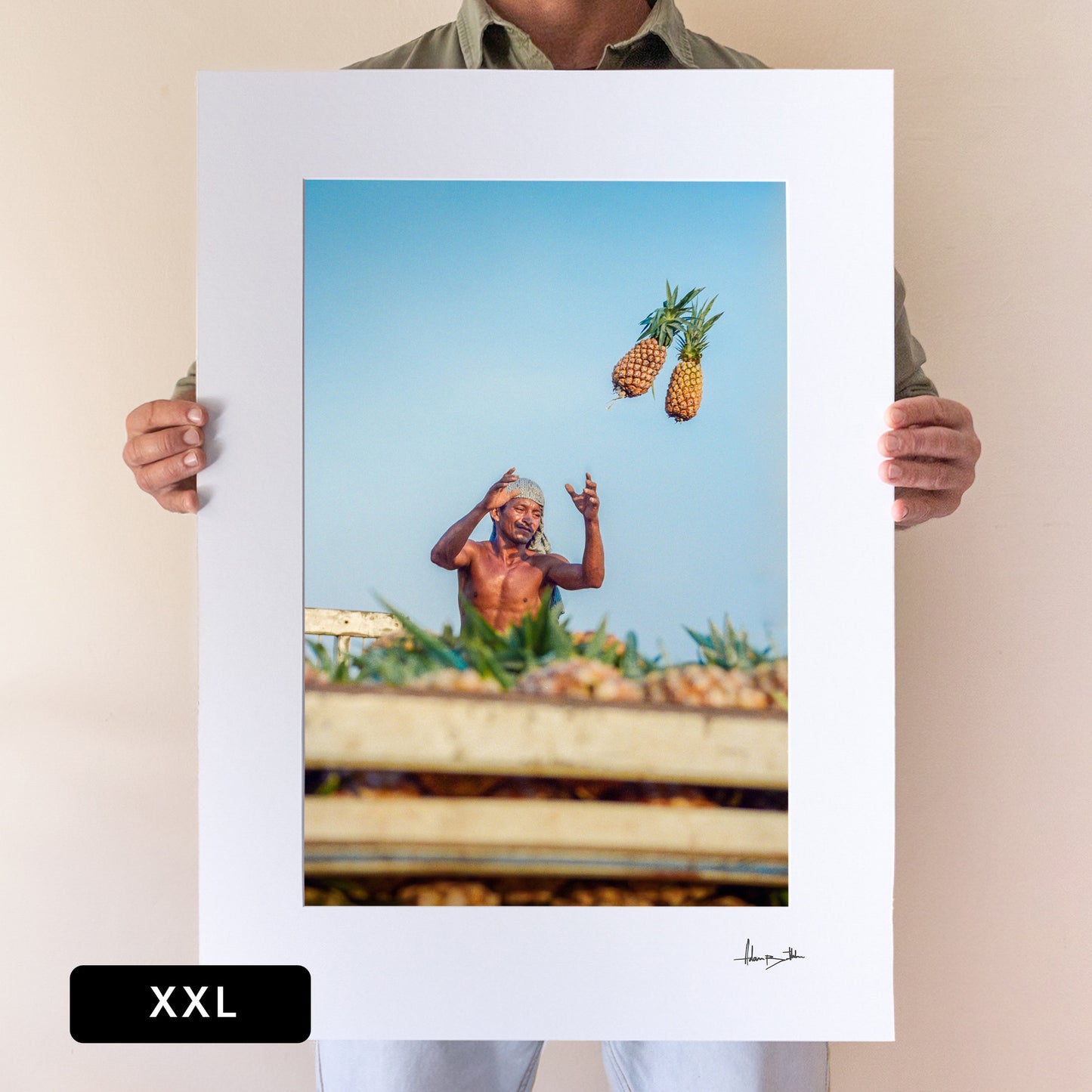 "Catch!" Pineapples Print | Brazil