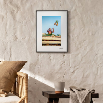 "Catch!" Pineapples Print | Brazil