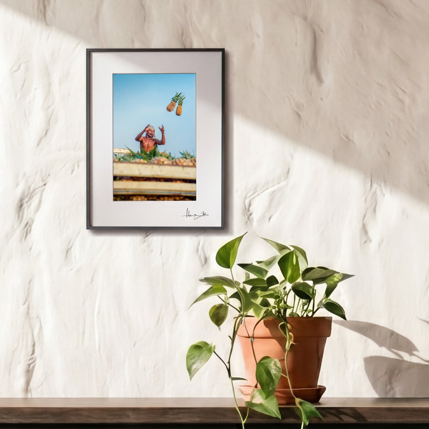 "Catch!" Pineapples Print | Brazil