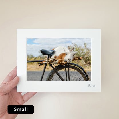 Goat on a Bicycle Print | Zambia