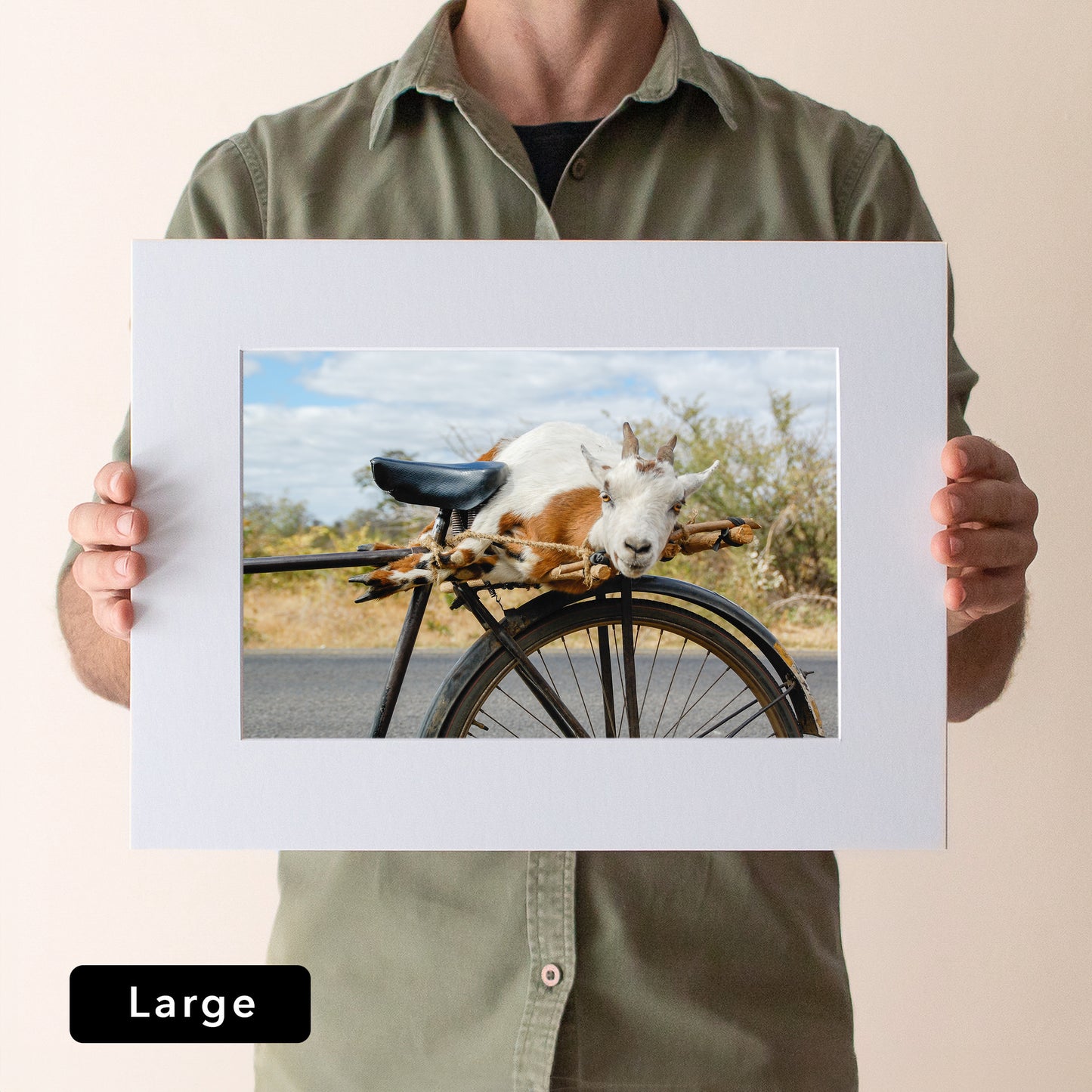 Goat on a Bicycle Print | Zambia