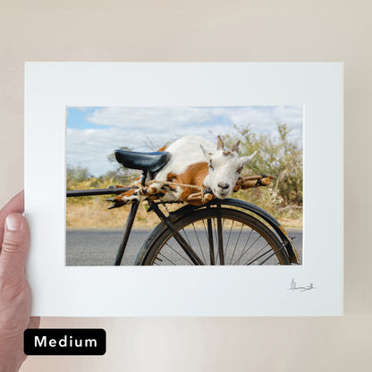 Goat on a Bicycle Print | Zambia