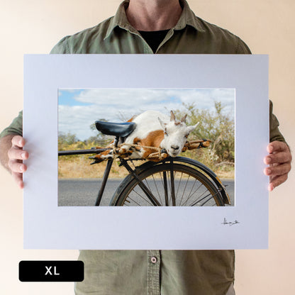 Goat on a Bicycle Print | Zambia