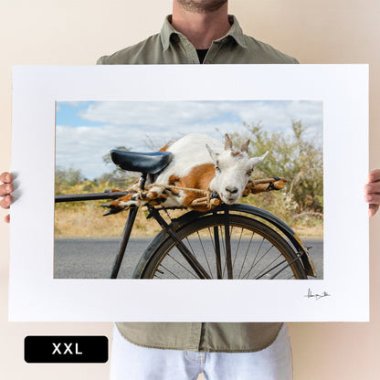 Goat on a Bicycle Print | Zambia