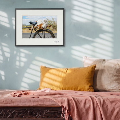 Goat on a Bicycle Print | Zambia