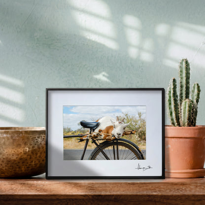 Goat on a Bicycle Print | Zambia