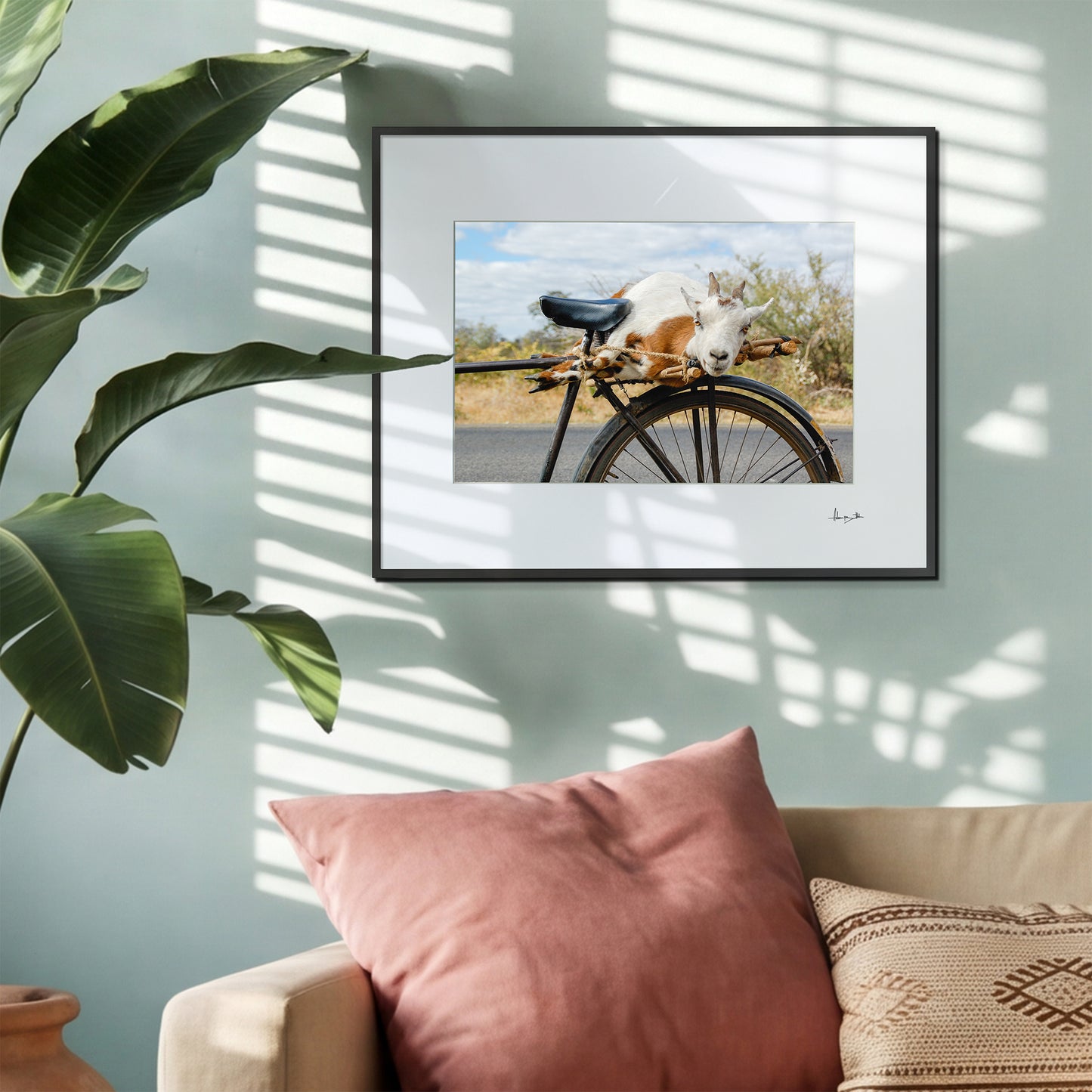 Goat on a Bicycle Print | Zambia