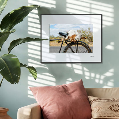 Goat on a Bicycle Print | Zambia