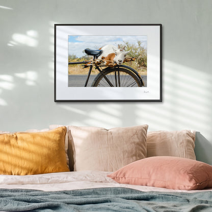 Goat on a Bicycle Print | Zambia