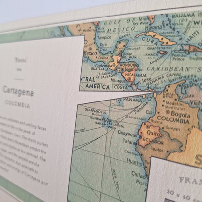NP010-back.jpg