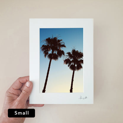 Barcelona Palms Print | Spain