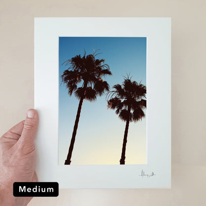 Barcelona Palms Print | Spain