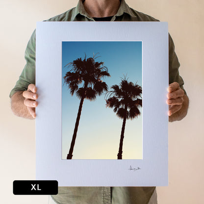 Barcelona Palms Print | Spain