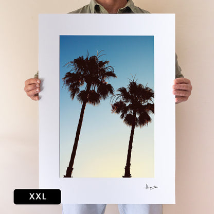 Barcelona Palms Print | Spain