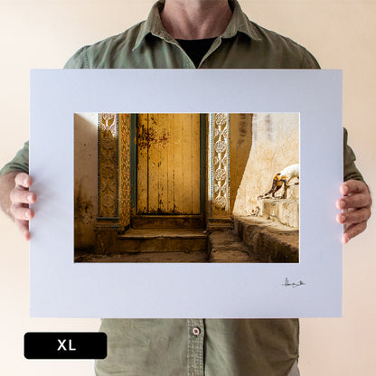 NP023 HANDS-XL