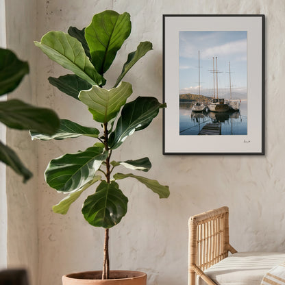 Sailboats Print | Turkey