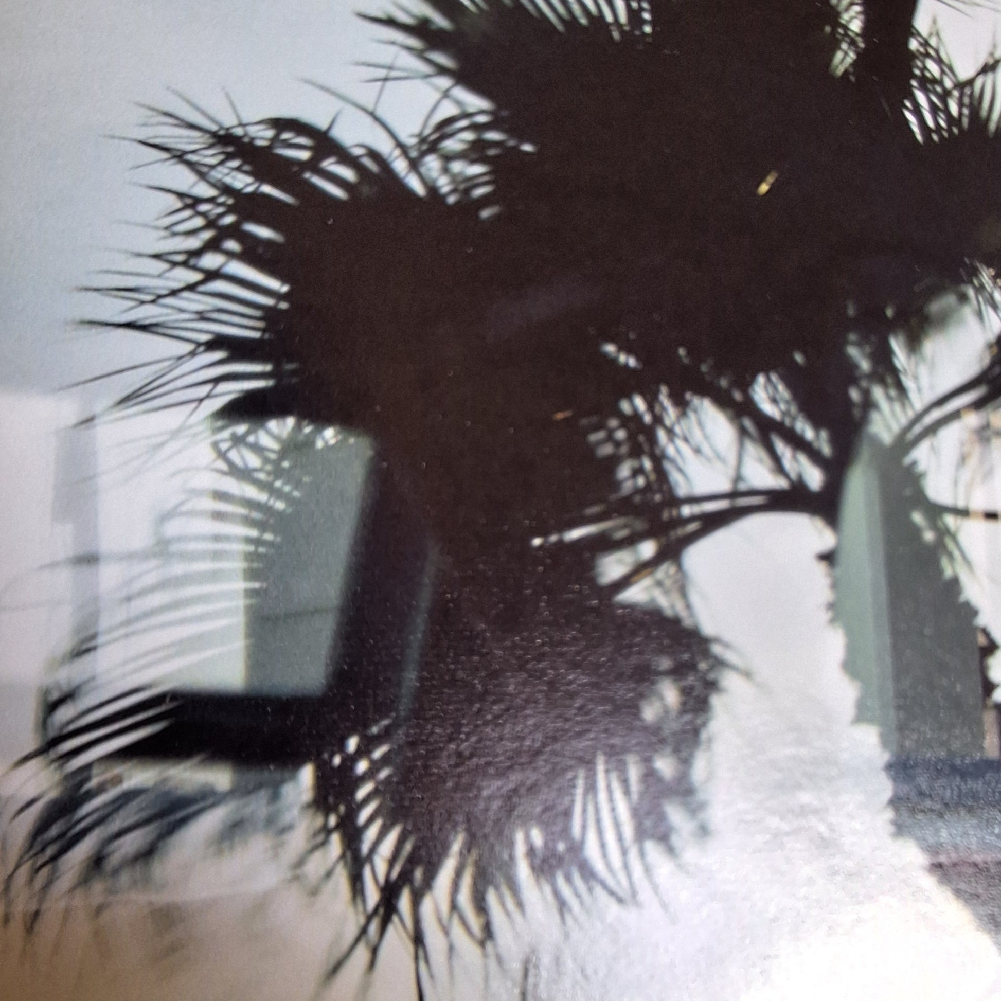 NP031-zoom.jpg