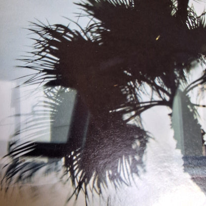 NP031-zoom.jpg