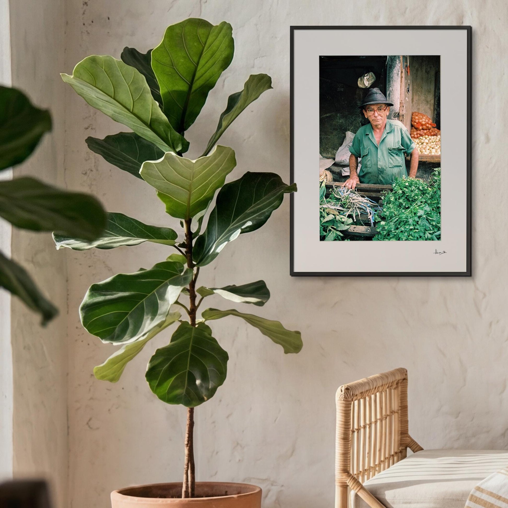 greengrocer — XXL room