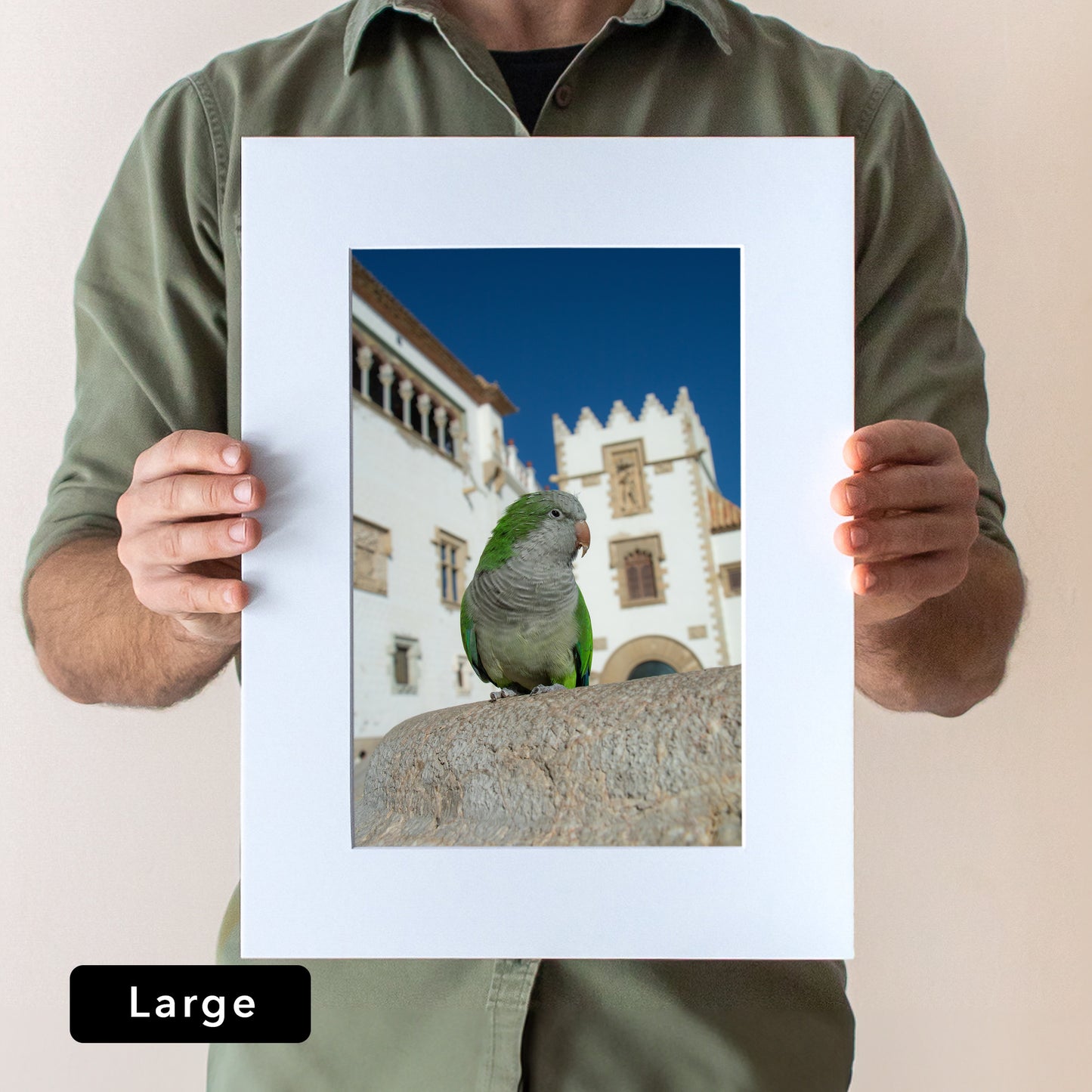 Sitges Parrot Print | Spain