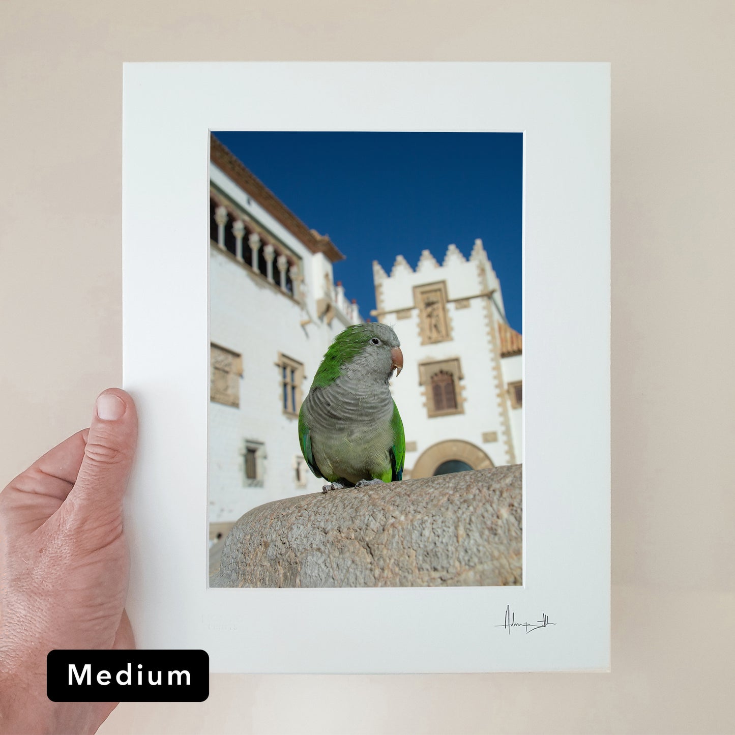 Sitges Parrot Print | Spain