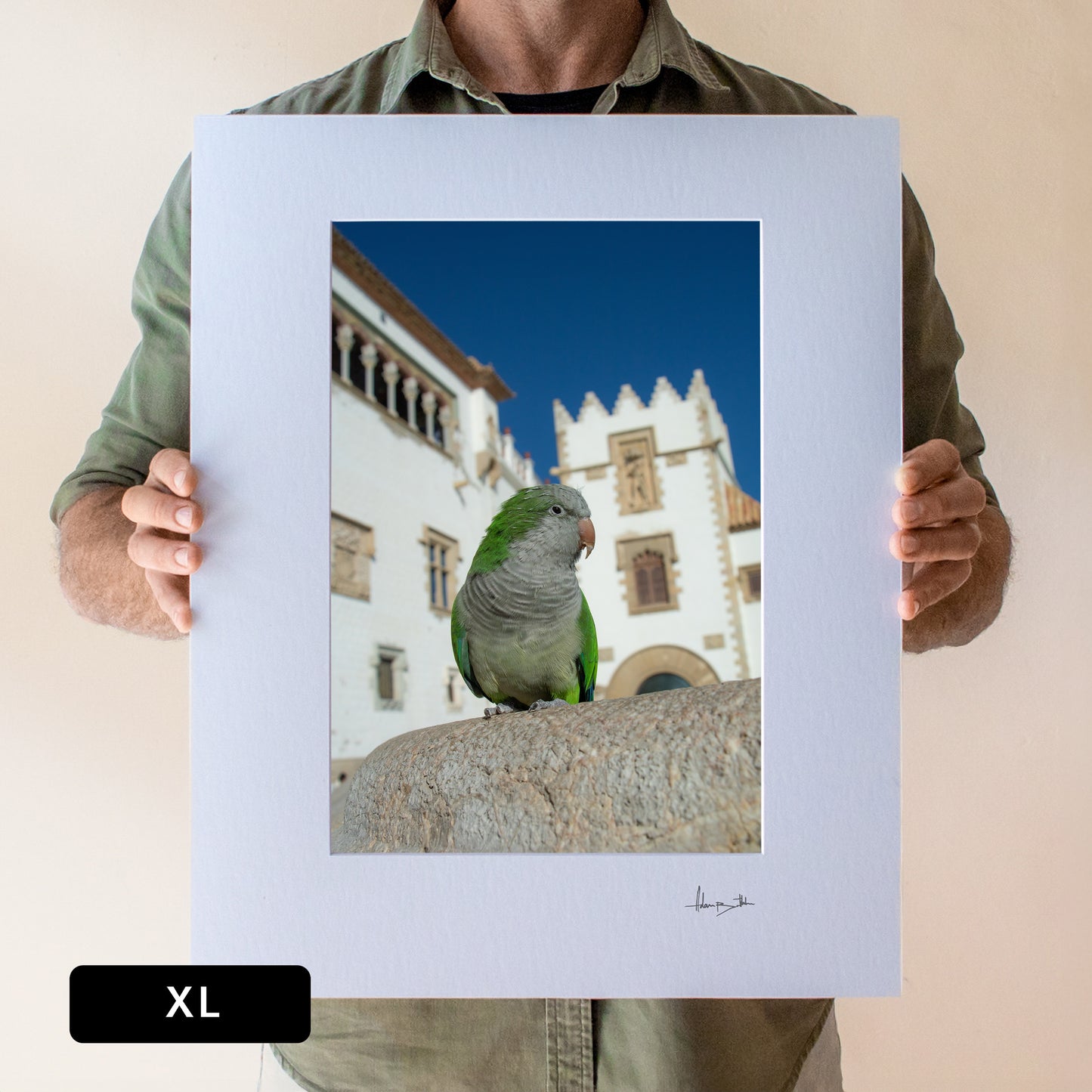 Sitges Parrot Print | Spain