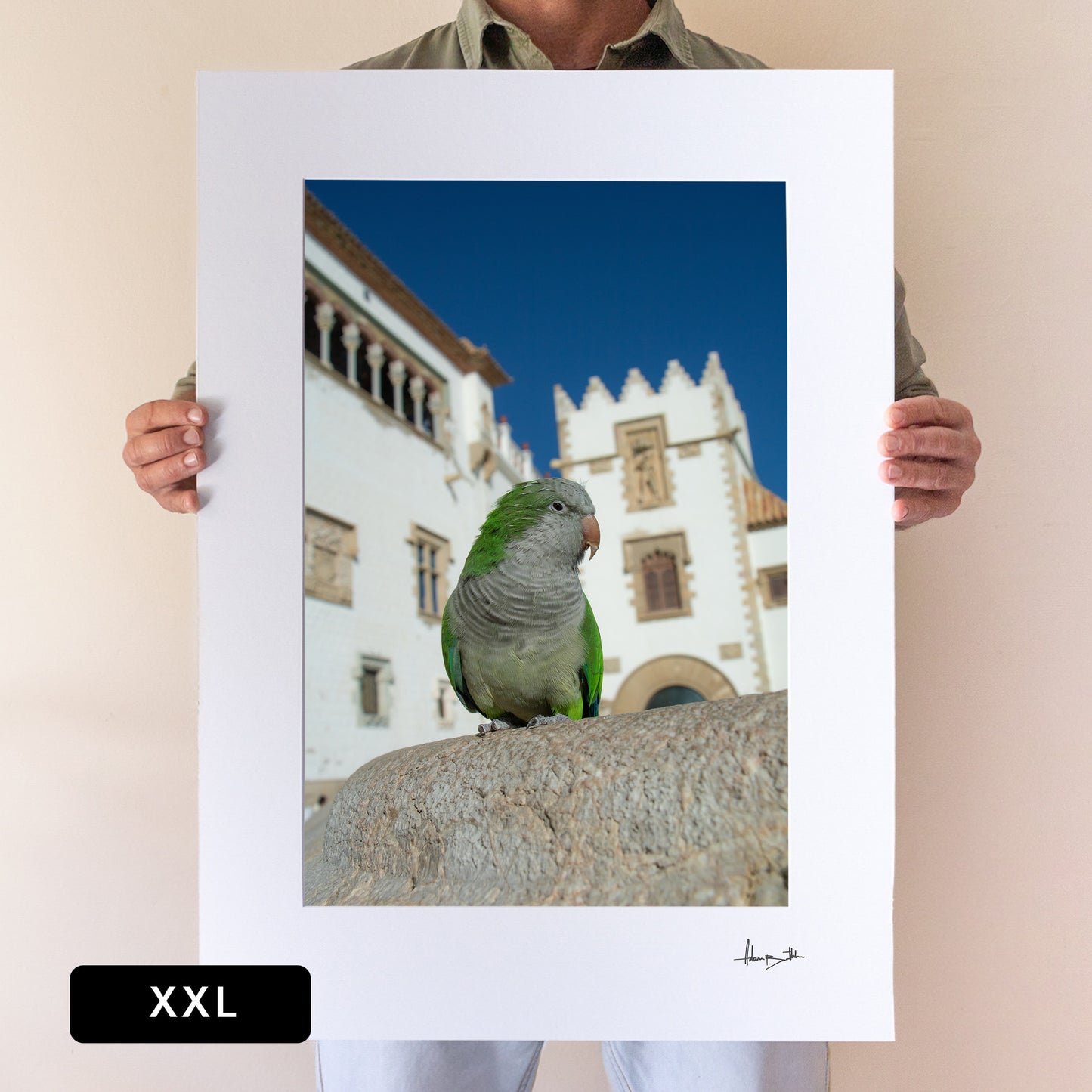 Sitges Parrot Print | Spain