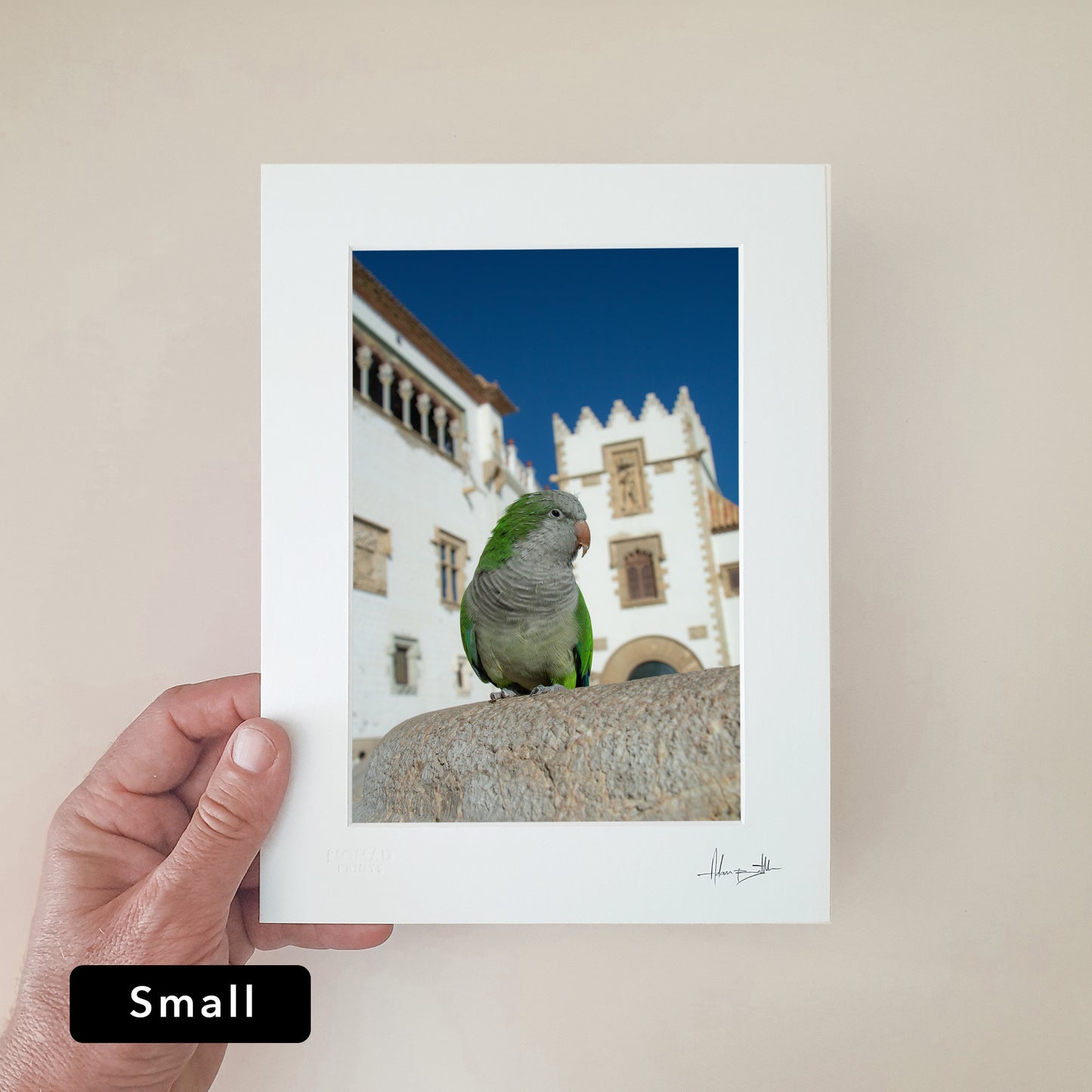 Sitges Parrot Print | Spain