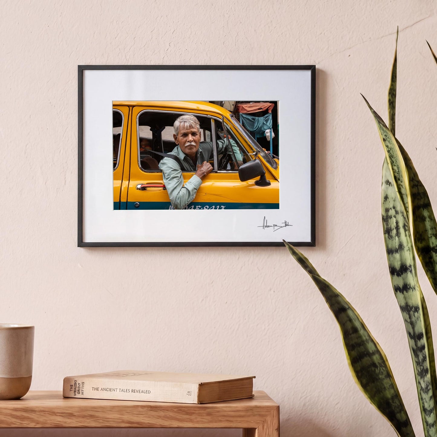 cabbie — Medium room