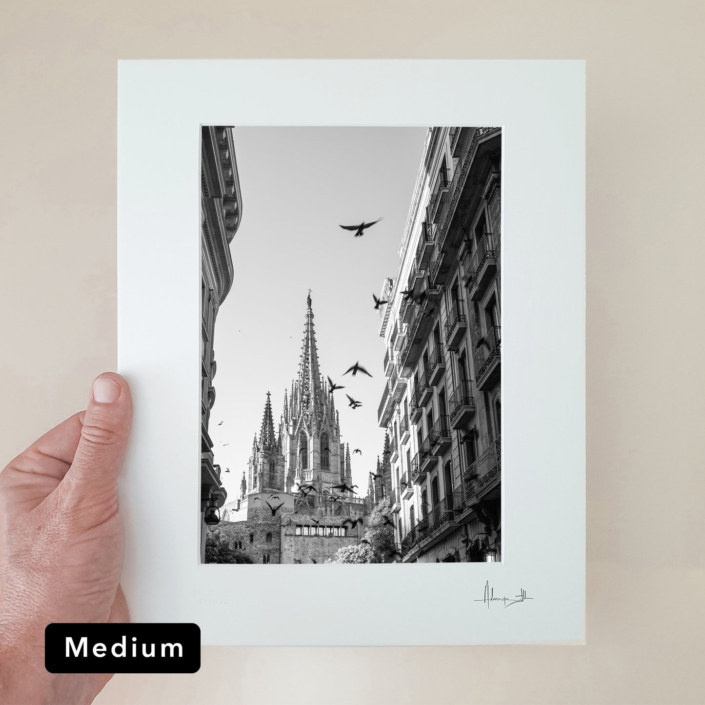 Barcelona Cathedral Print | Spain